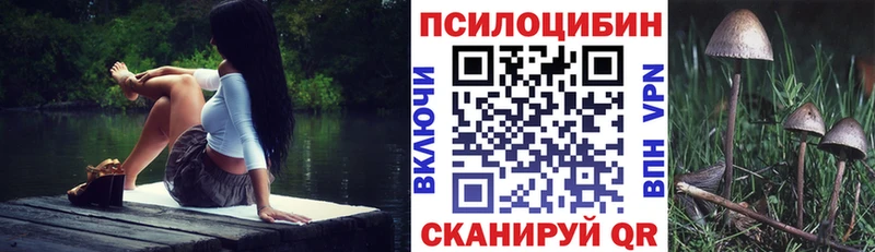 shop клад  Тайга  Галлюциногенные грибы Psilocybine cubensis  закладки 